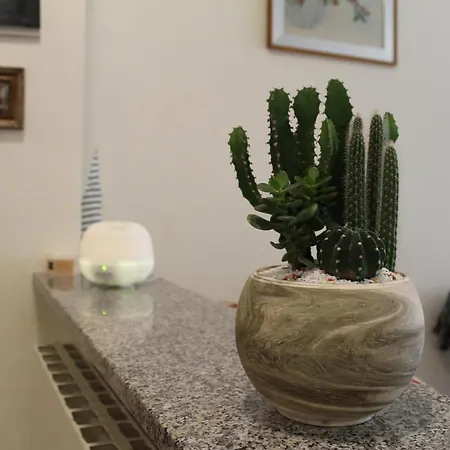 Beautiful House By Marcos *